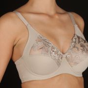 LOURDES TIERRA_17W6292